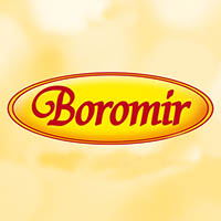 BOROMIR